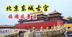 大鸡巴操逼视频骚气小逼中国北京-东城古宫旅游风景区